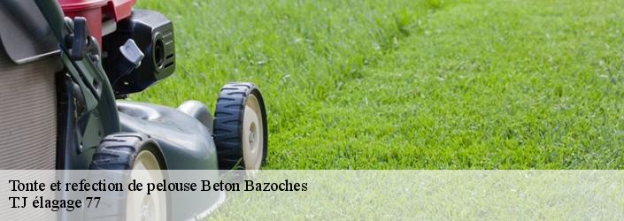 Tonte et refection de pelouse  beton-bazoches-77320 T.J élagage 77