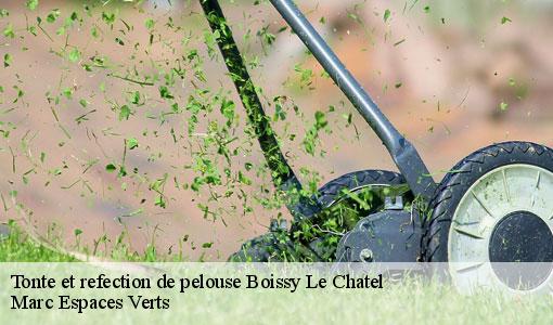 Tonte et refection de pelouse  boissy-le-chatel-77169 Marc Espaces Verts 