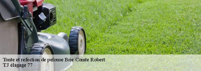 Tonte et refection de pelouse  brie-comte-robert-77170 T.J élagage 77