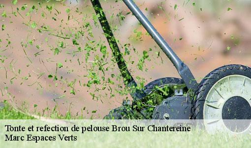 Tonte et refection de pelouse  brou-sur-chantereine-77177 Marc Espaces Verts 