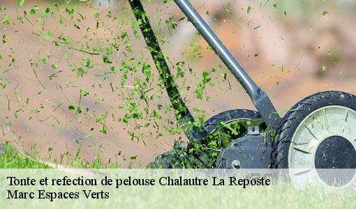 Tonte et refection de pelouse  chalautre-la-reposte-77520 Marc Espaces Verts 
