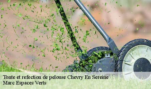 Tonte et refection de pelouse  chevry-en-sereine-77710 Marc Espaces Verts 