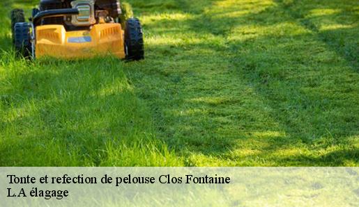 Tonte et refection de pelouse clos-fontaine-77370 Sauser elagage