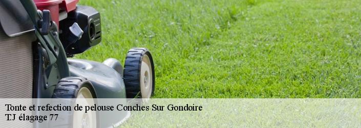 Tonte et refection de pelouse  conches-sur-gondoire-77600 T.J élagage 77