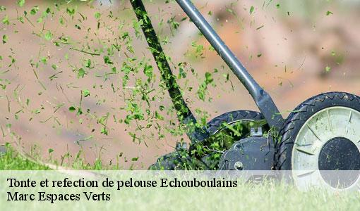 Tonte et refection de pelouse  echouboulains-77830 Marc Espaces Verts 