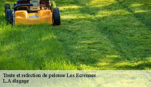 Tonte et refection de pelouse les-ecrennes-77820 L.A élagage