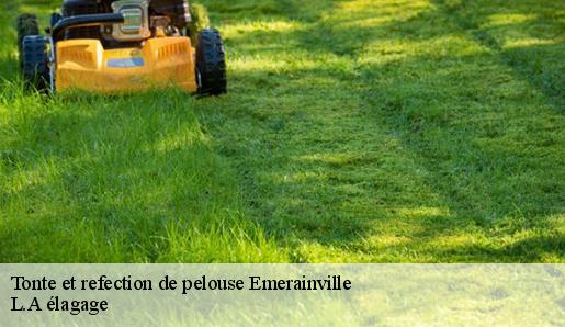 Tonte et refection de pelouse  emerainville-77184 L.A élagage 