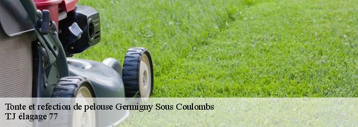 Tonte et refection de pelouse  germigny-sous-coulombs-77840 T.J élagage 77