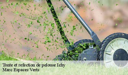 Tonte et refection de pelouse  ichy-77890 Marc Espaces Verts 