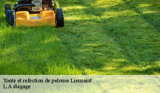 Tonte et refection de pelouse lieusaint-77127 L.A élagage