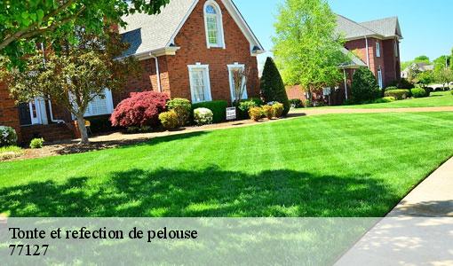 Tonte et refection de pelouse  77127