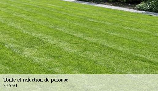 Tonte et refection de pelouse 77550