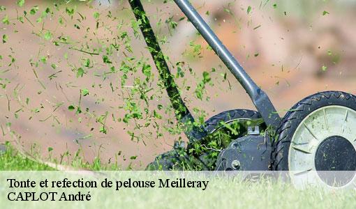 Tonte et refection de pelouse  meilleray-77320 CAPLOT André