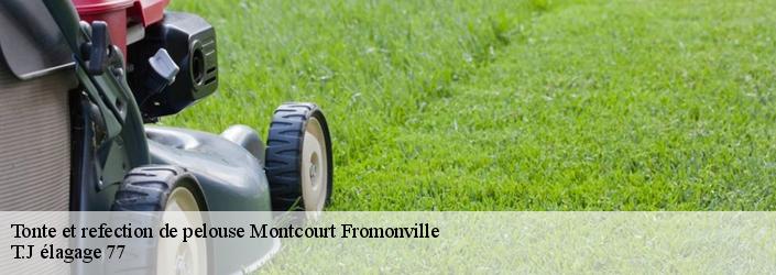 Tonte et refection de pelouse  montcourt-fromonville-77140 T.J élagage 77