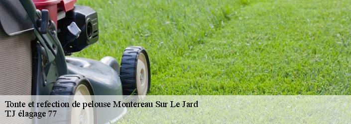 Tonte et refection de pelouse  montereau-sur-le-jard-77950 T.J élagage 77