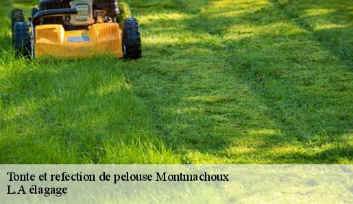 Tonte et refection de pelouse montmachoux-77940 Sauser elagage
