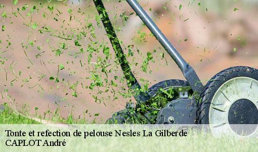 Tonte et refection de pelouse  nesles-la-gilberde-77540 CAPLOT André