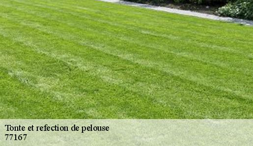 Tonte et refection de pelouse 77167