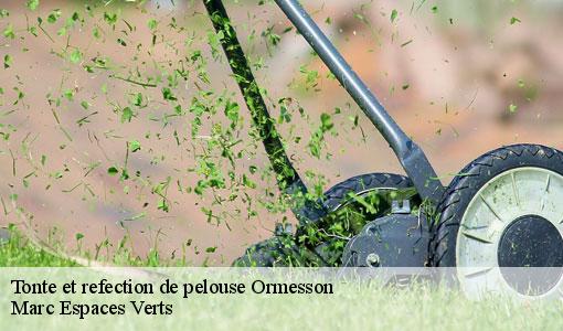 Tonte et refection de pelouse  ormesson-77167 Marc Espaces Verts 
