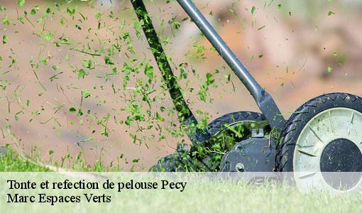Tonte et refection de pelouse  pecy-77970 Marc Espaces Verts 