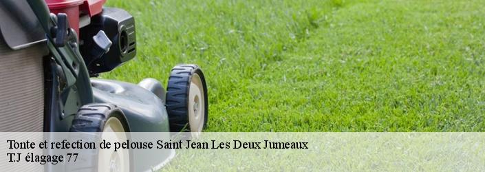 Tonte et refection de pelouse  saint-jean-les-deux-jumeaux-77660 T.J élagage 77