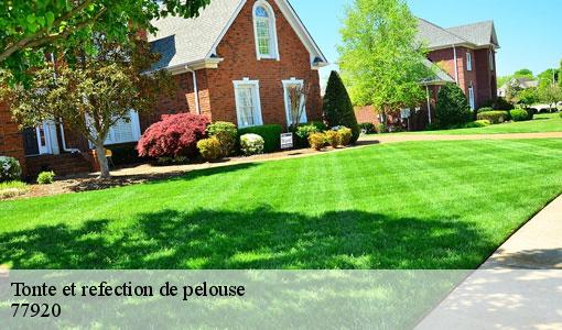 Tonte et refection de pelouse  77920