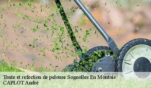 Tonte et refection de pelouse  sognolles-en-montois-77520 CAPLOT André