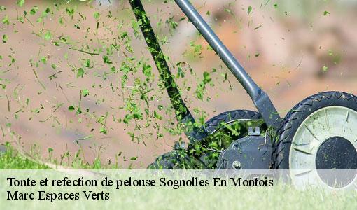 Tonte et refection de pelouse  sognolles-en-montois-77520 Marc Espaces Verts 