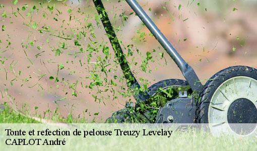 Tonte et refection de pelouse  treuzy-levelay-77710 CAPLOT André