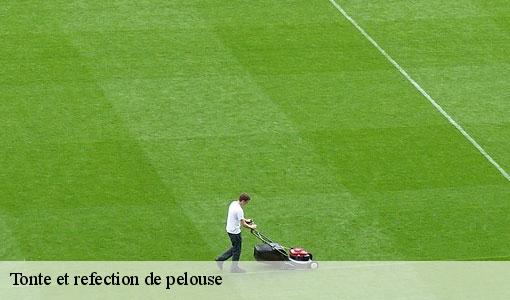 Tonte et refection de pelouse  77390