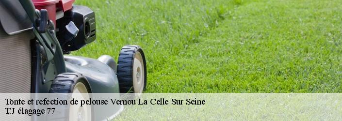 Tonte et refection de pelouse  vernou-la-celle-sur-seine-77670 T.J élagage 77