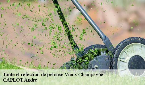 Tonte et refection de pelouse vieux-champagne-77370 CAPLOT André