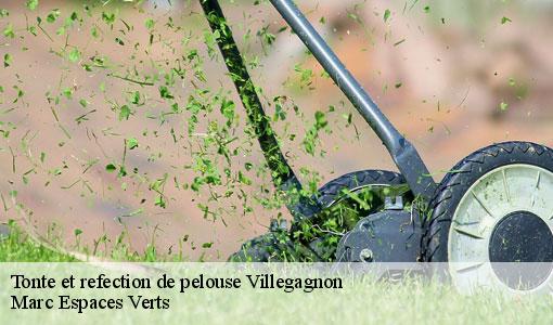 Tonte et refection de pelouse  villegagnon-77970 Marc Espaces Verts 