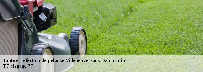 Tonte et refection de pelouse  villeneuve-sous-dammartin-77230 T.J élagage 77