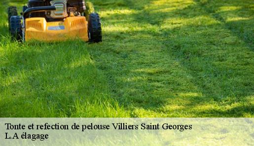 Tonte et refection de pelouse villiers-saint-georges-77560 L.A élagage