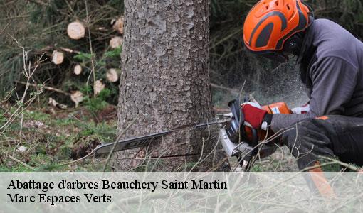 Abattage d'arbres  beauchery-saint-martin-77560 Marc Espaces Verts 