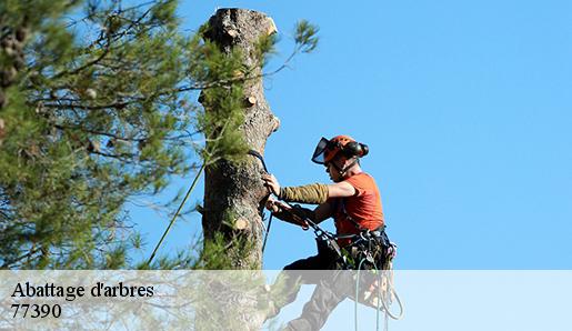 Abattage d'arbres  77390