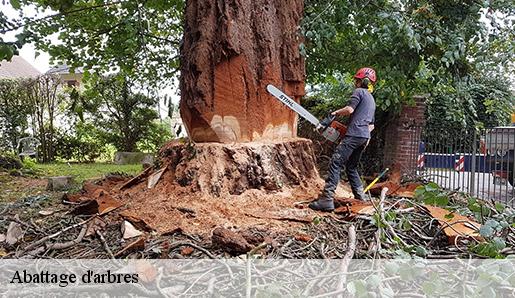 Abattage d'arbres  77390