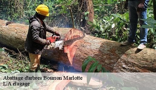 Abattage d'arbres bourron-marlotte-77780 Sauser elagage