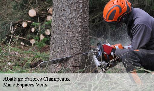 Abattage d'arbres  champeaux-77720 Marc Espaces Verts 