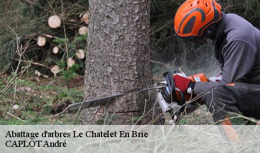 Abattage d'arbres  le-chatelet-en-brie-77820 CAPLOT André