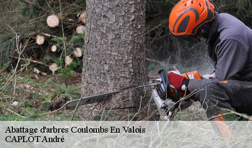 Abattage d'arbres  coulombs-en-valois-77840 CAPLOT André