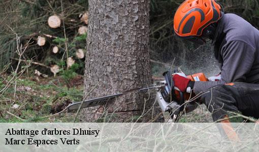 Abattage d'arbres  dhuisy-77440 Marc Espaces Verts 