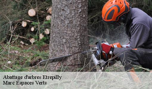 Abattage d'arbres  etrepilly-77139 Marc Espaces Verts 