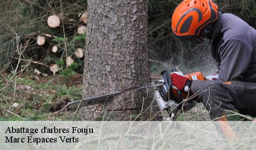 Abattage d'arbres  fouju-77390 Marc Espaces Verts 