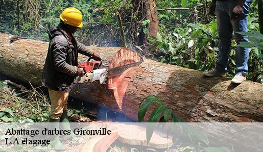 Abattage d'arbres  gironville-77890 L.A élagage 
