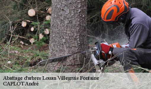 Abattage d'arbres louan-villegruis-fontaine-77560 CAPLOT André
