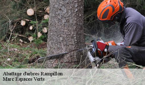 Abattage d'arbres  rampillon-77370 Marc Espaces Verts 