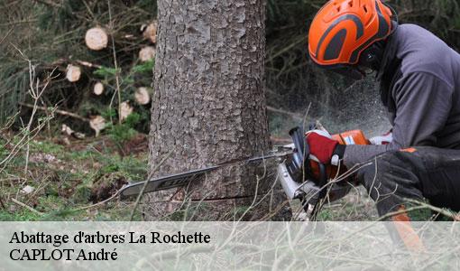 Abattage d'arbres la-rochette-77000 CAPLOT André