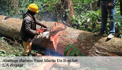 Abattage d'arbres  saint-martin-du-boschet-77320 L.A élagage 